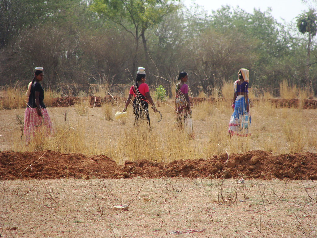 Field work with local communities in Madhya Pradesh